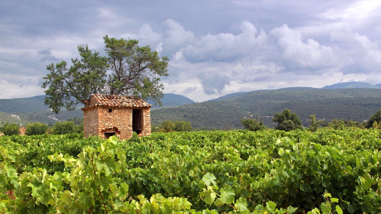 Photo of Outdoor in Jonquerettes