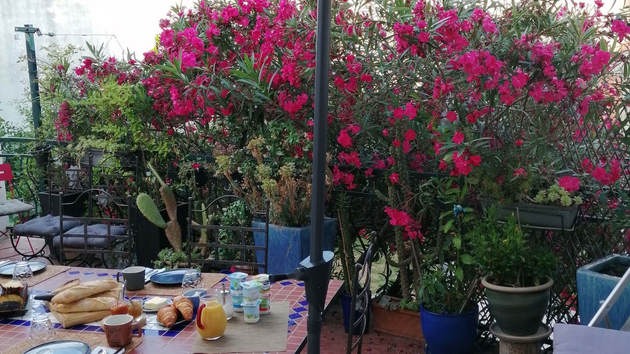 Photo of Outdoor in Villeneuve-les-Beziers
