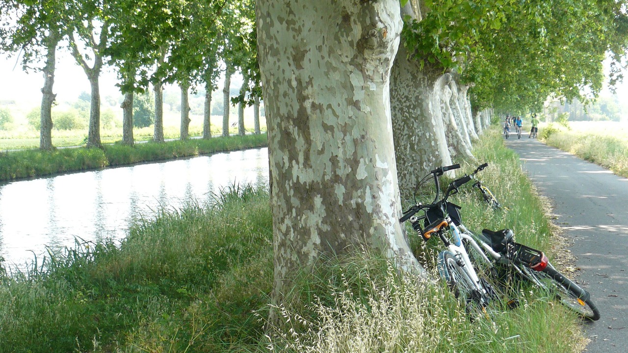Photo of Outdoor in Villeneuve-les-Beziers