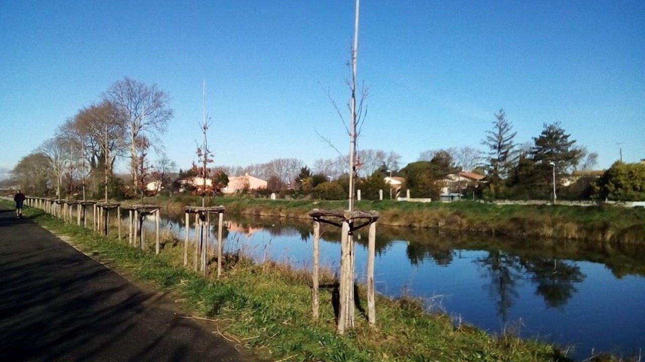 Photo of Outdoor in Villeneuve-les-Beziers