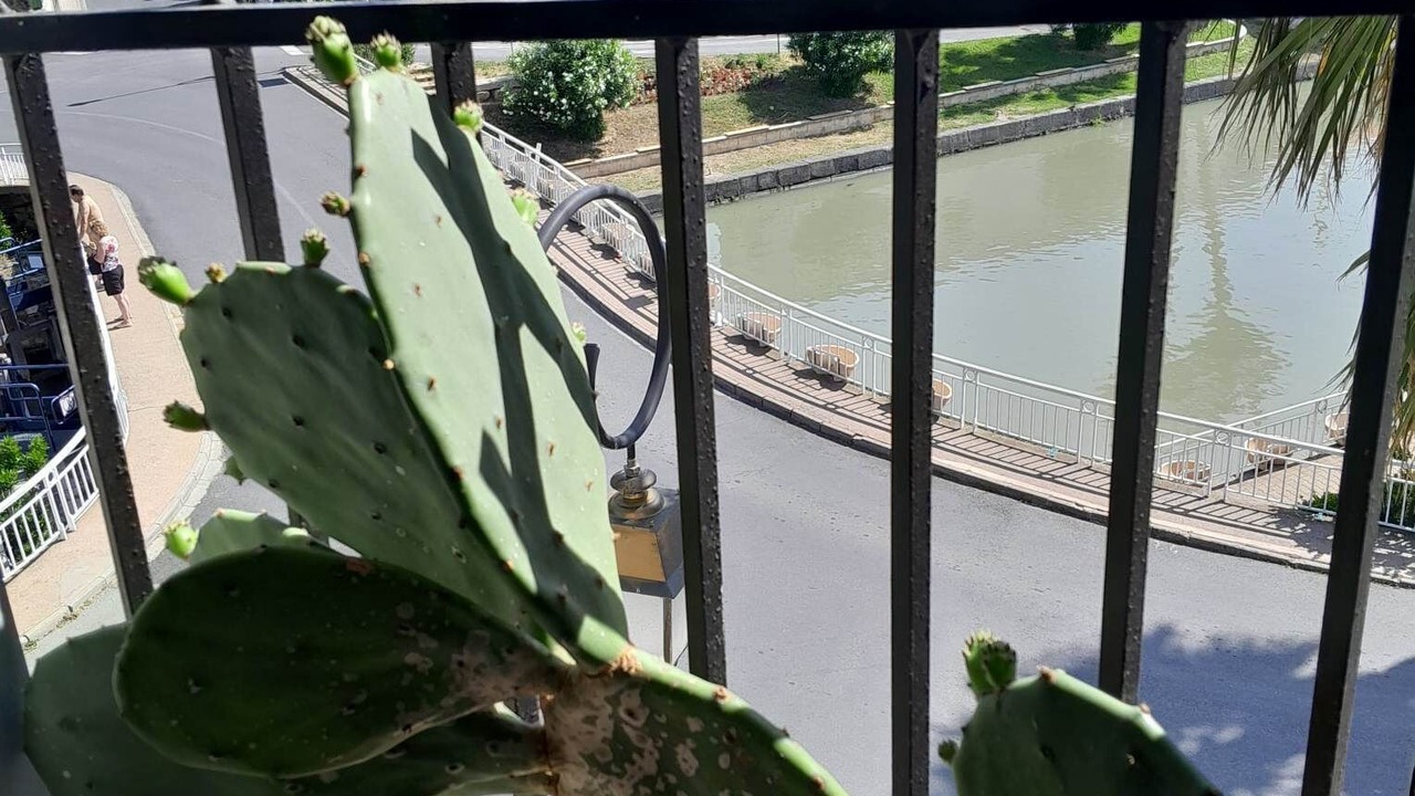 Photo of Outdoor in Villeneuve-les-Beziers