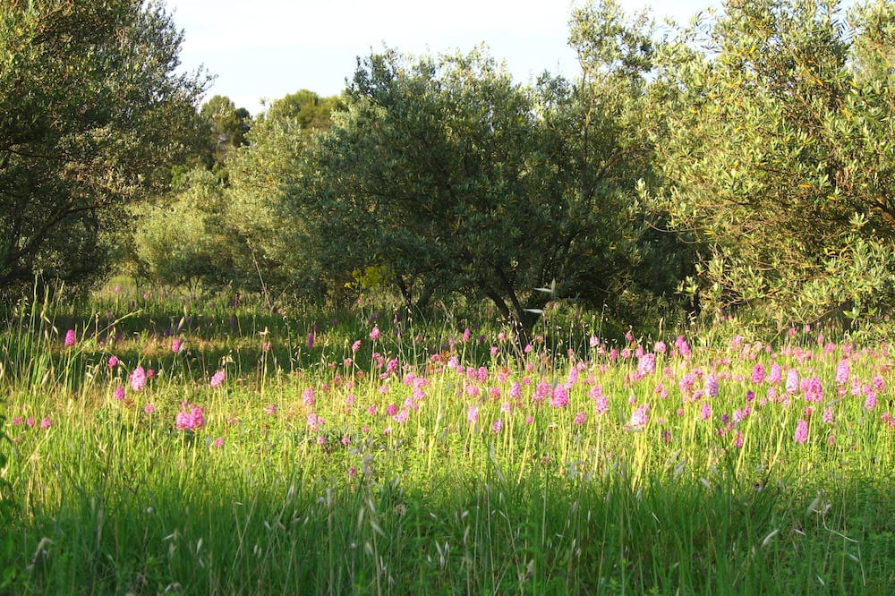 Photo of Outdoor in Sillans-la Cascade