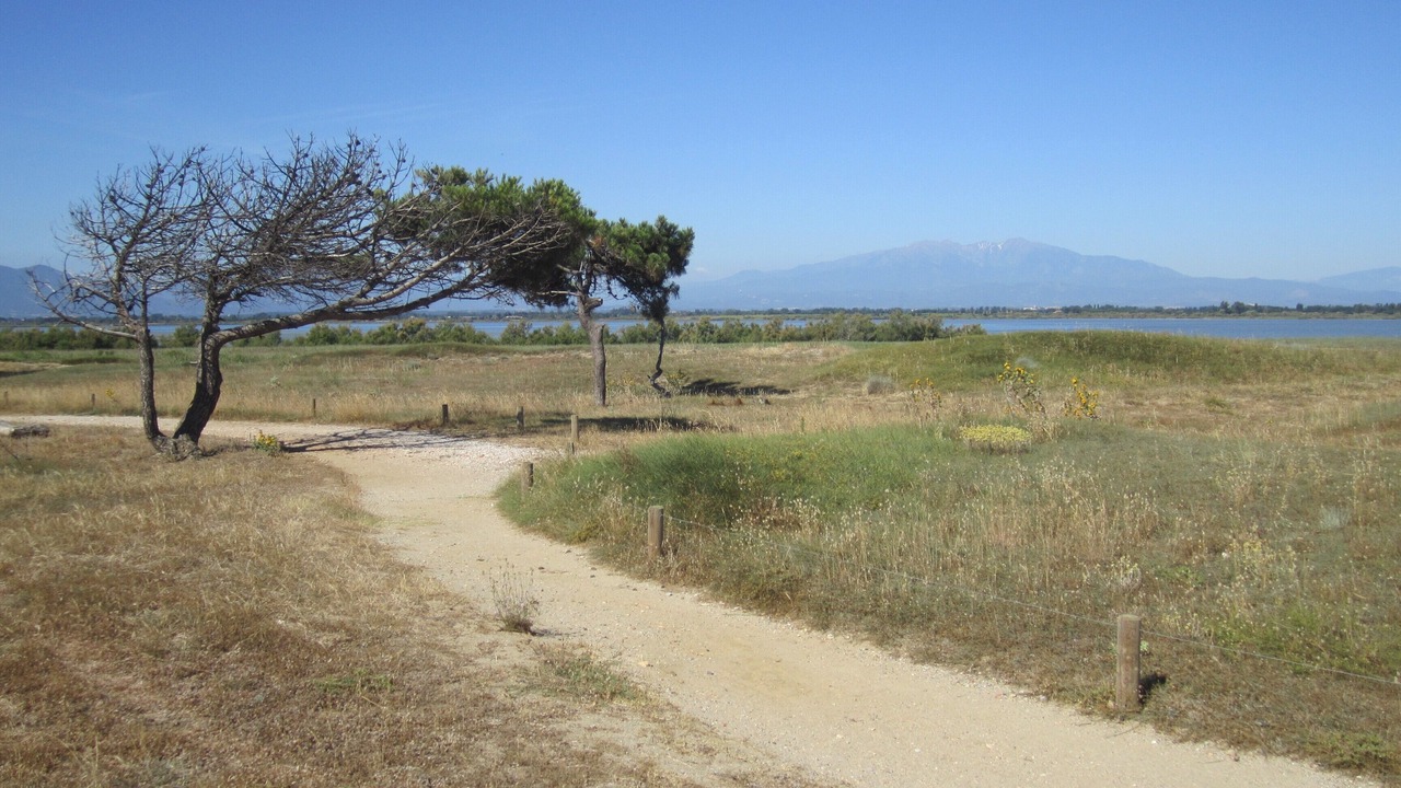 Photo of Others in La Cote Radieuse