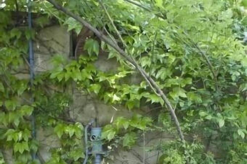 Photo of Outdoor in Orange