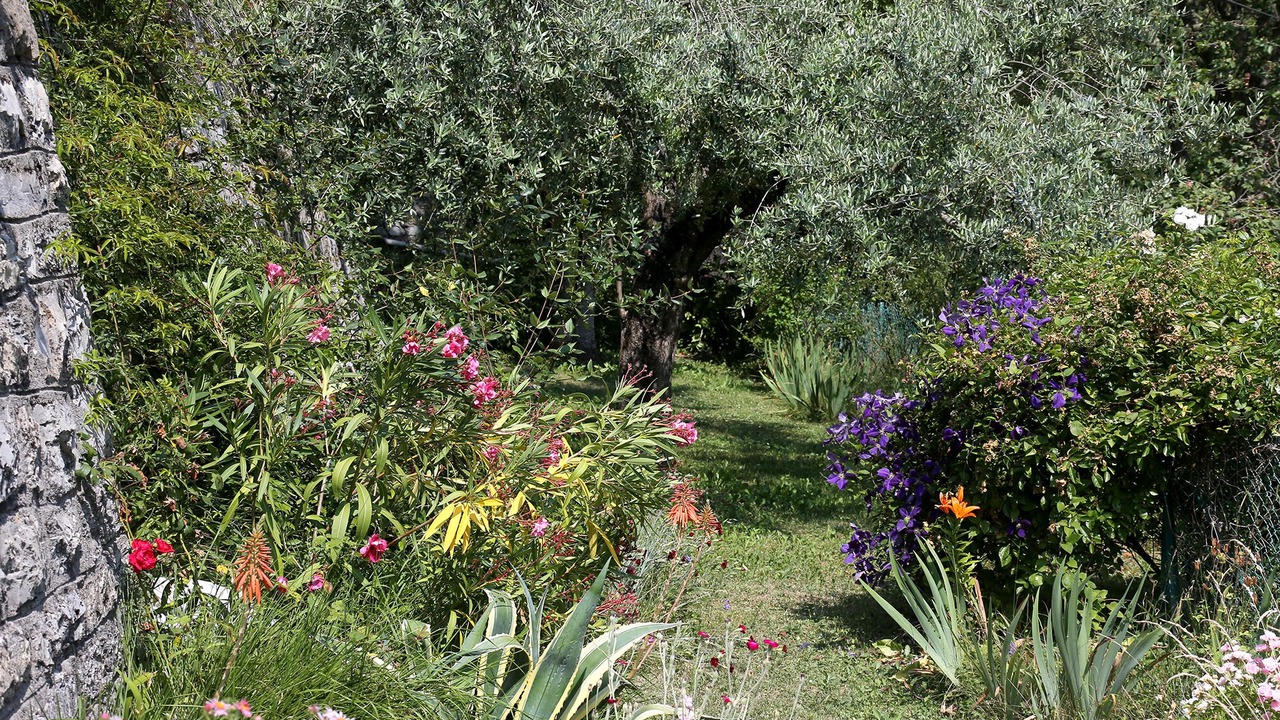 Photo of Outdoor in Moulinet