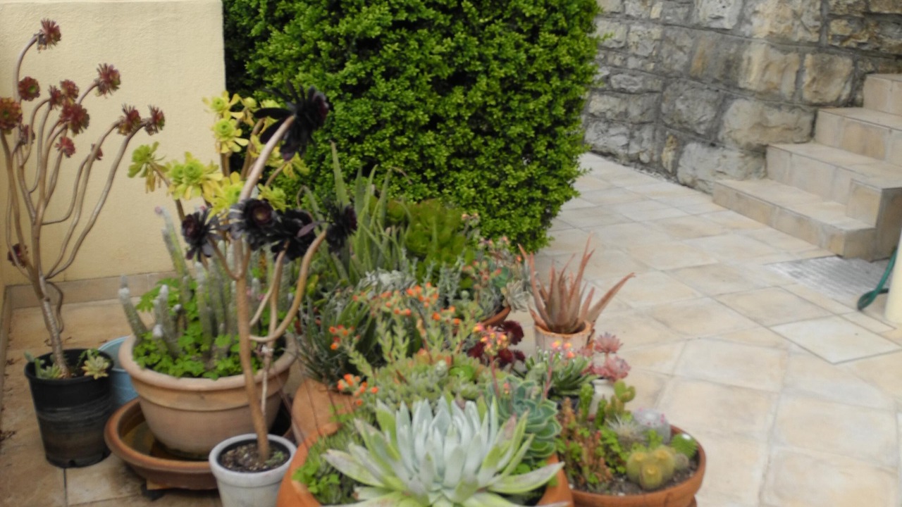 Photo of Outdoor in Moulinet