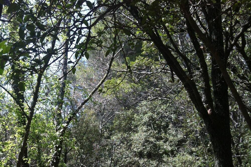 Photo of Outdoor in Lamanon