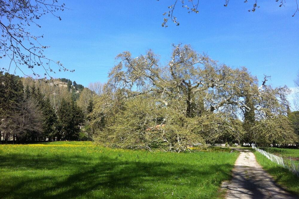Photo of Outdoor in Lamanon