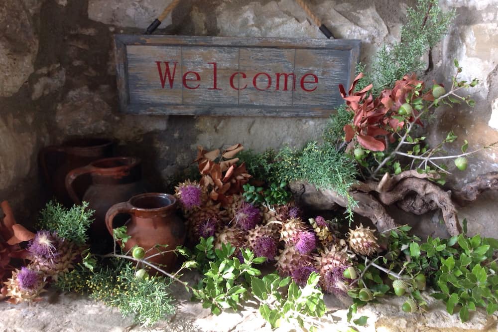 Photo of Outdoor in Lauroux