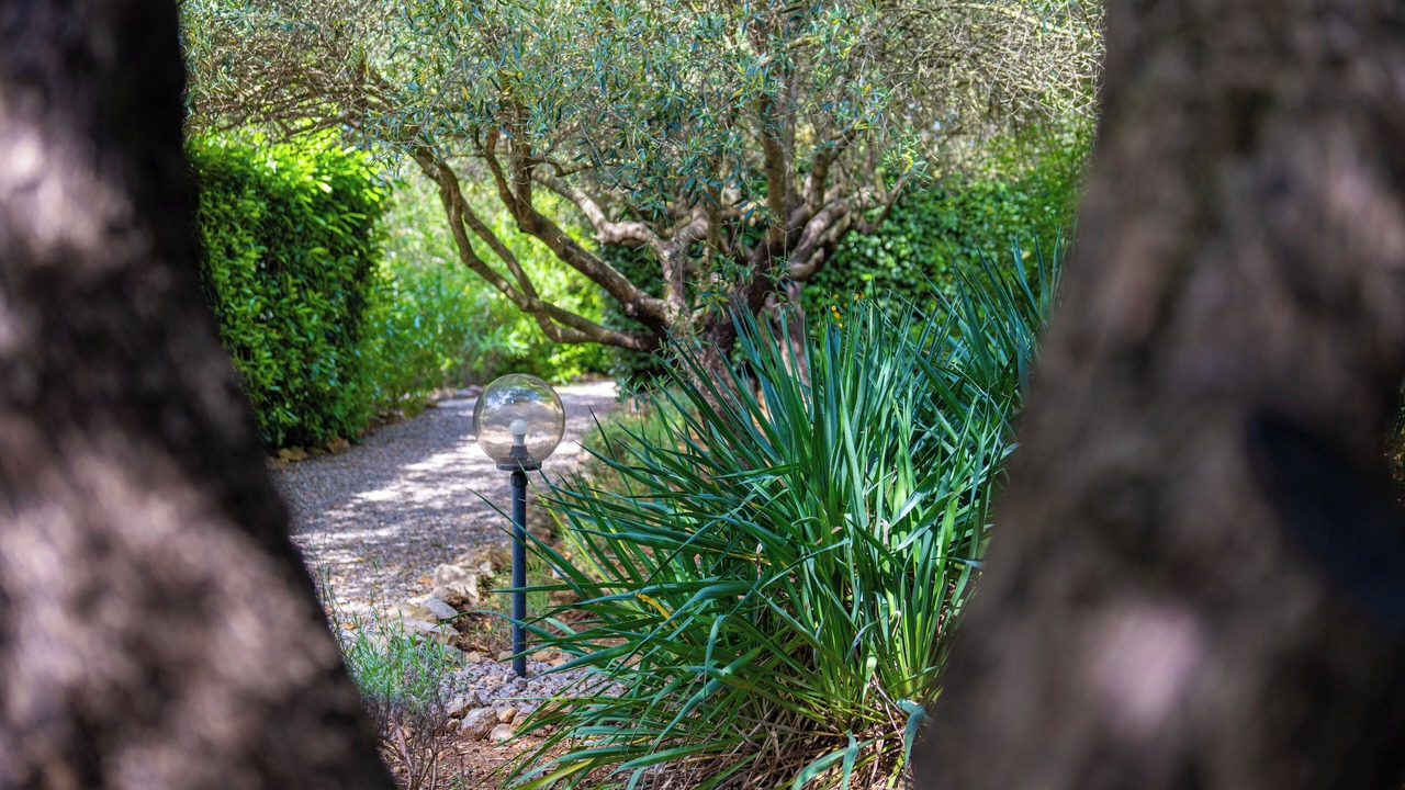 Photo of Outdoor in Draguignan