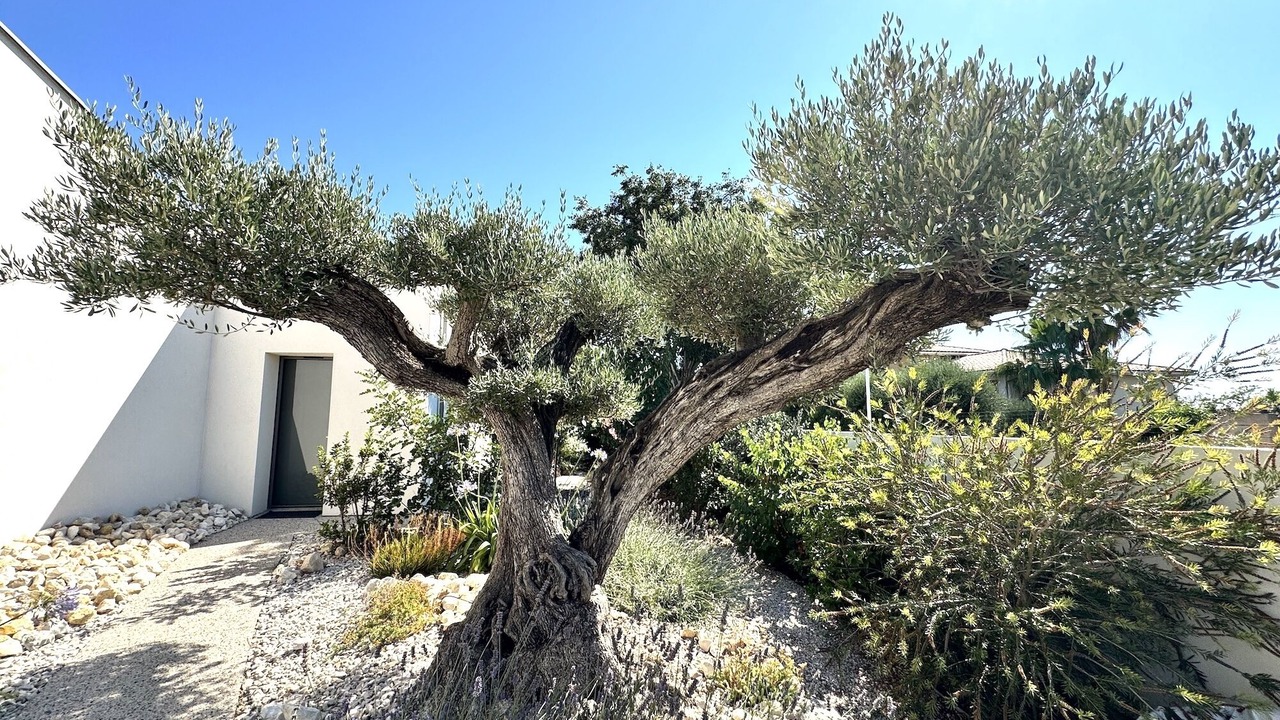 Photo of Outdoor in Balaruc-les-Bains
