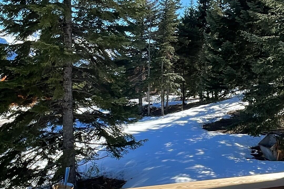 Photo of Patio Balcony in Selonnet