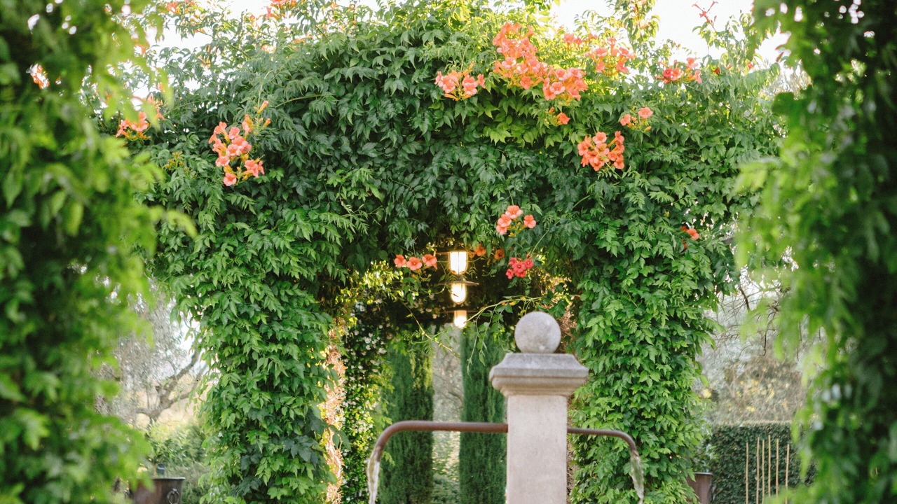 Photo of Outdoor in Orgon