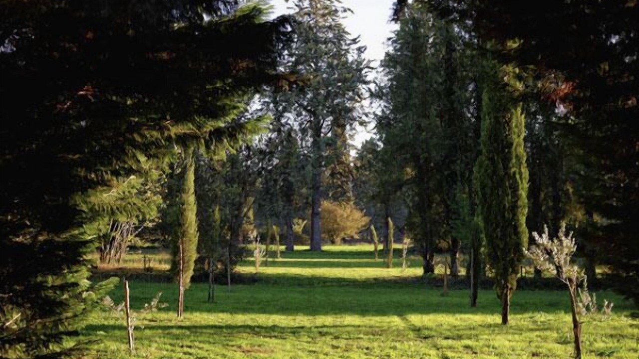 Photo of Outdoor in Orgon