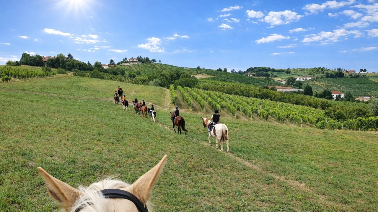 Photo of Outdoor in Gaino