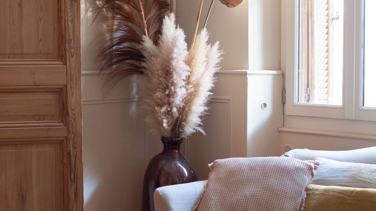 Photo of Others in Salon-de-Provence