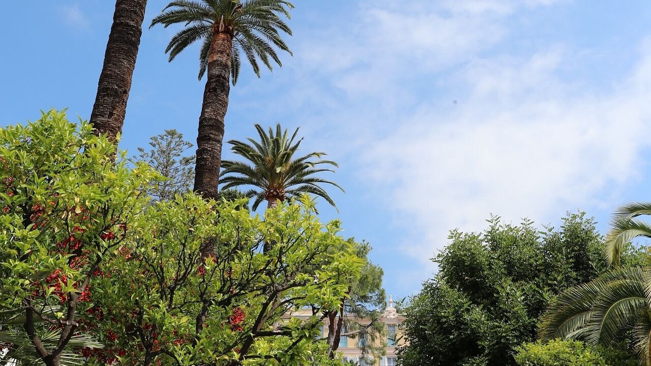 Photo of Outdoor in Old Town