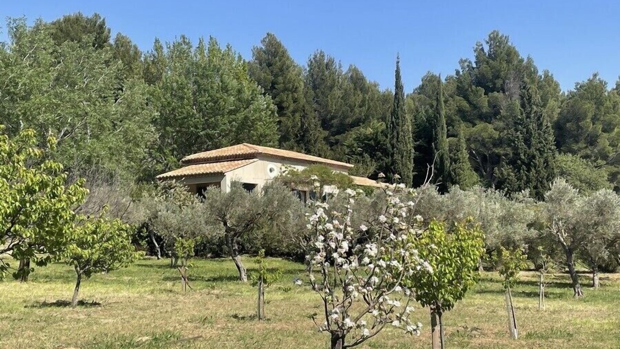 Photo of Others in Maussane-les-Alpilles
