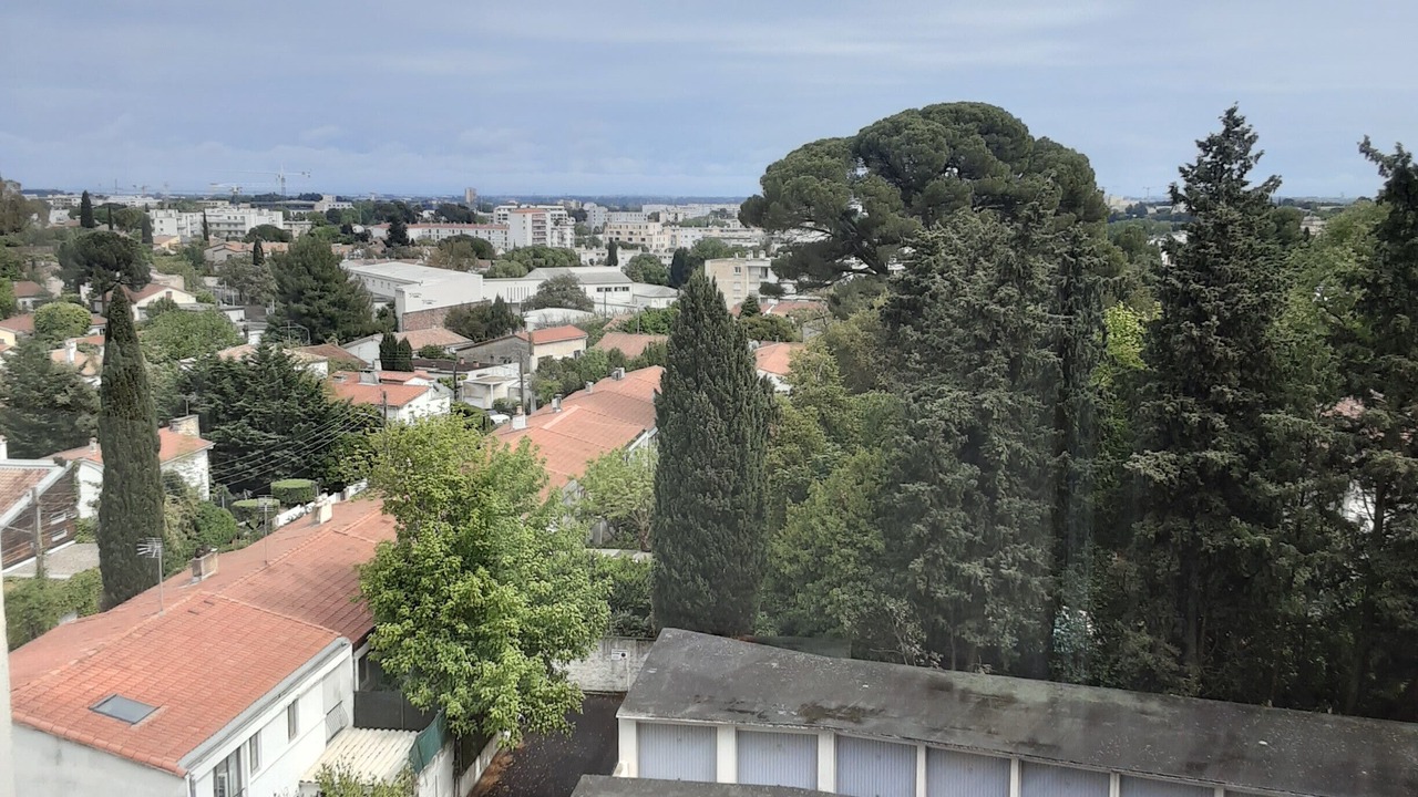 Photo of Others in Estanove