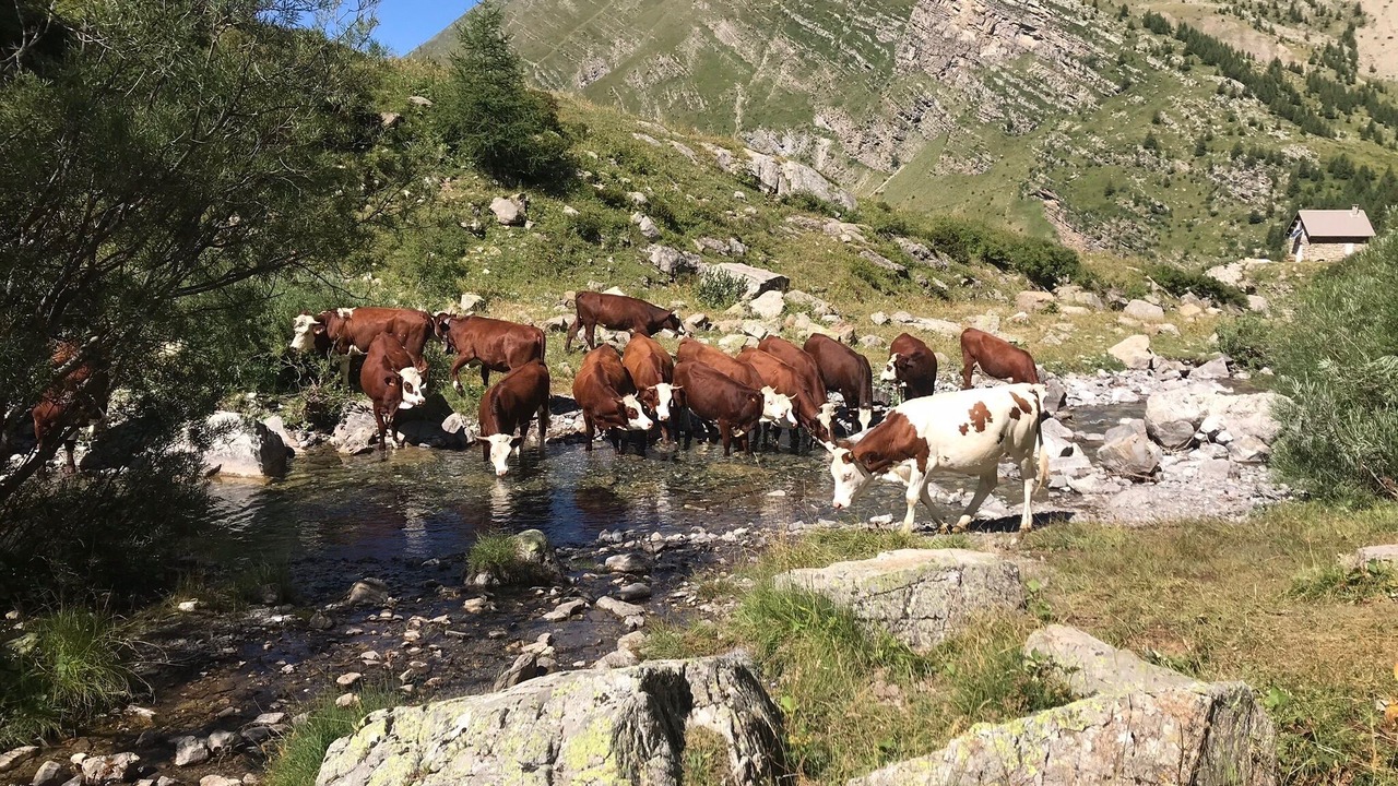 Photo of Others in Savines-le-Lac