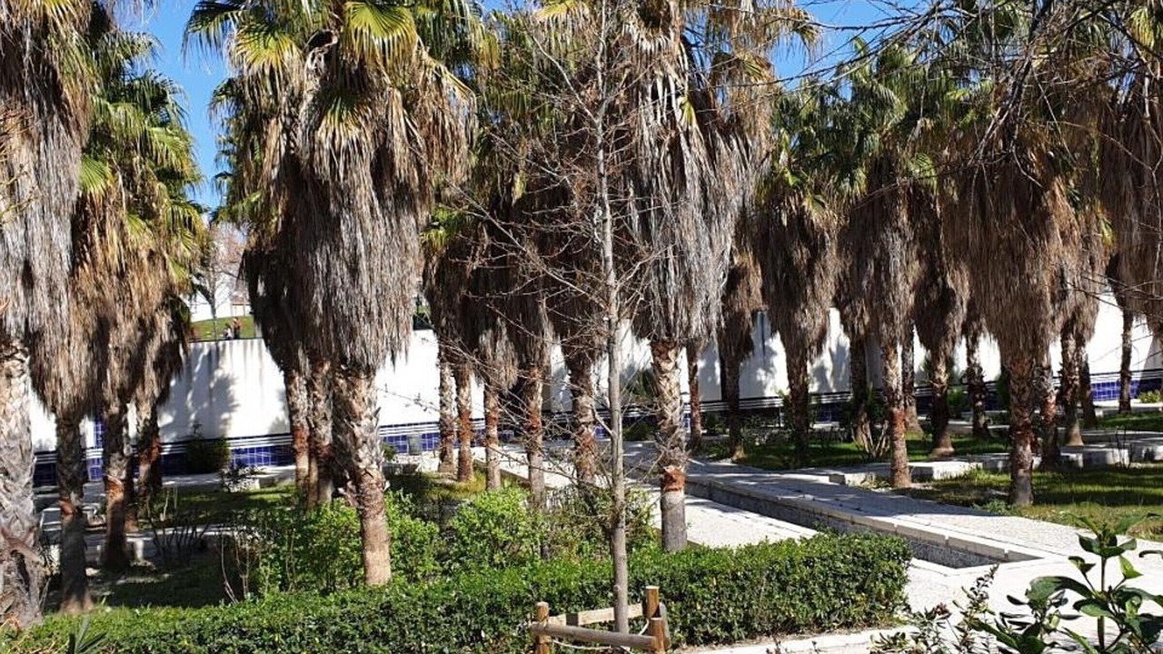 Photo of Outdoor in Menpenti