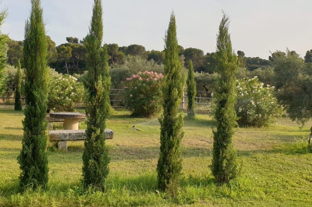 Photo of Others in Maussane-les-Alpilles