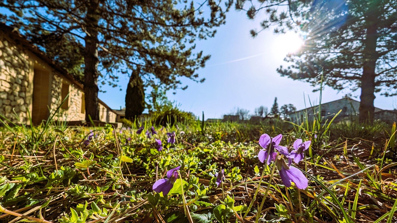 Photo of Outdoor in Saint-Genies-de-Malgoires