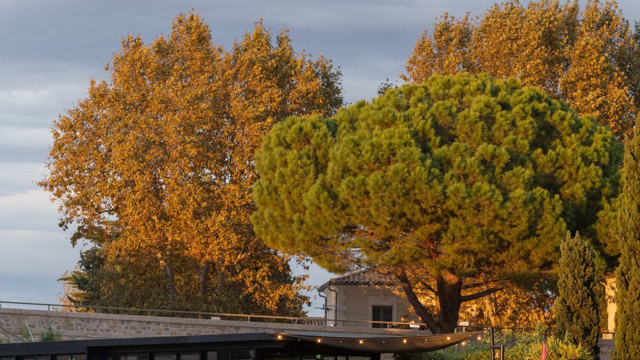 Photo of Outdoor in Aigues-Mortes