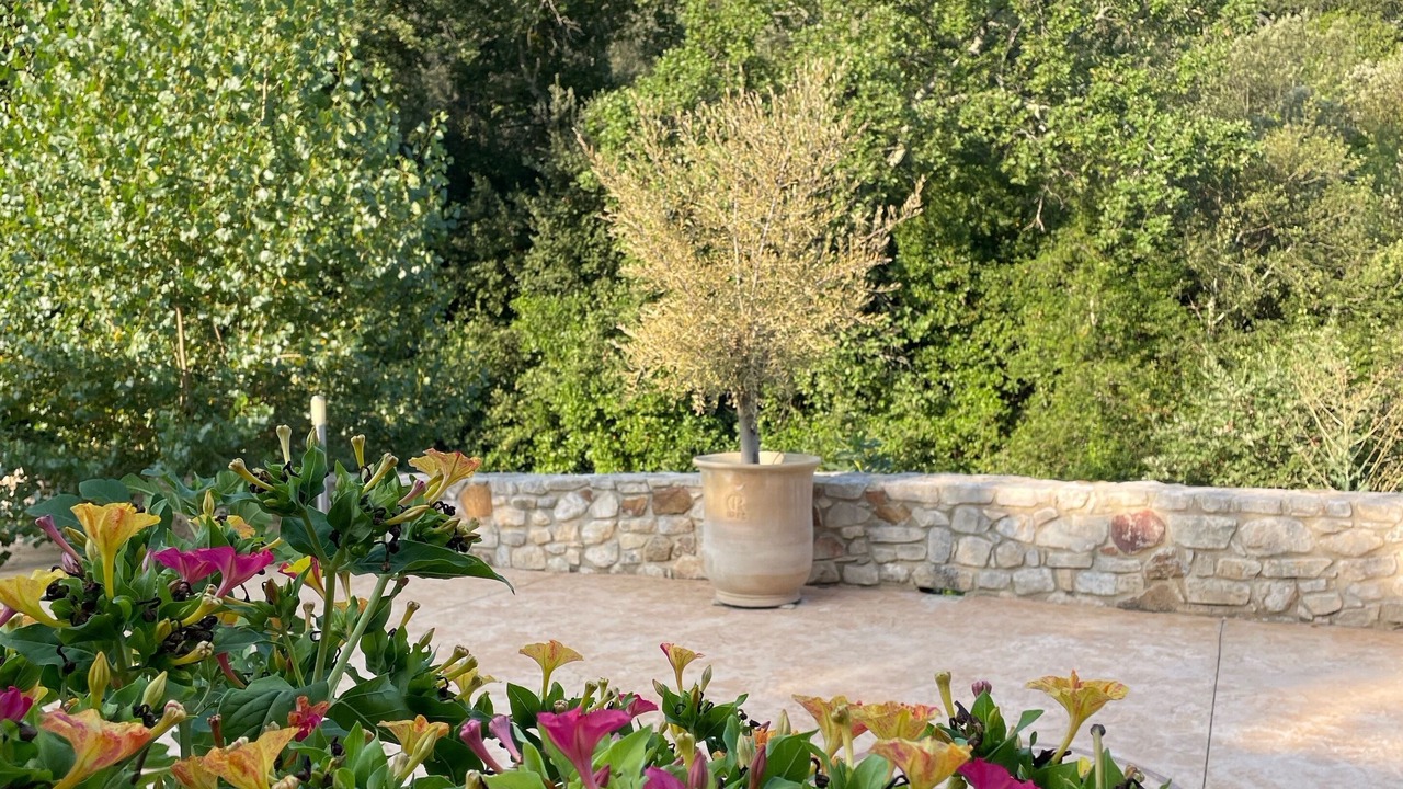 Photo of Outdoor in Dions