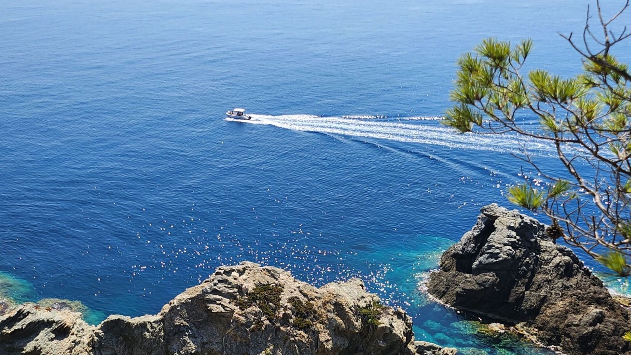 Photo of Others in Hyeres