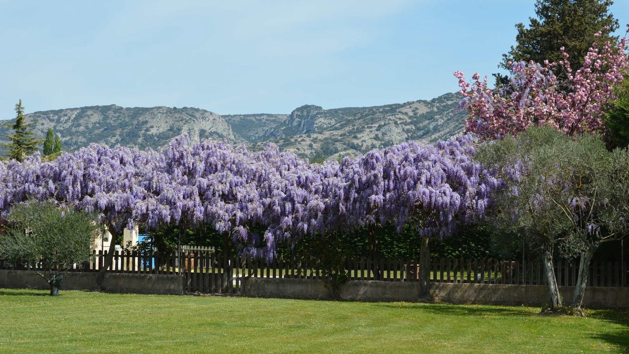 Photo of Outdoor in Cheval-Blanc