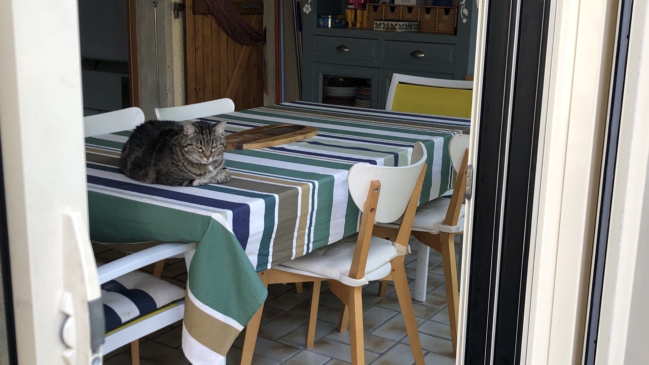 Photo of Others in La Franqui-Plage
