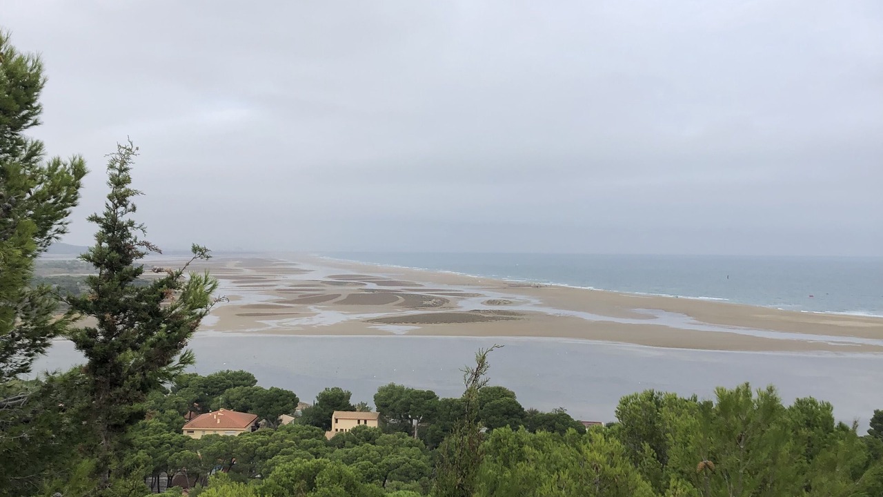 Photo of Others in La Franqui-Plage
