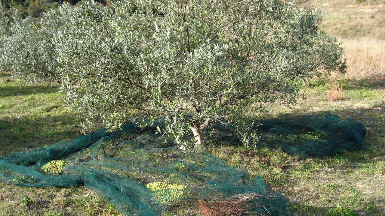 Photo of Outdoor in Sillans-la Cascade