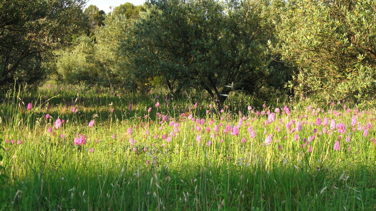Photo of Outdoor in Sillans-la Cascade