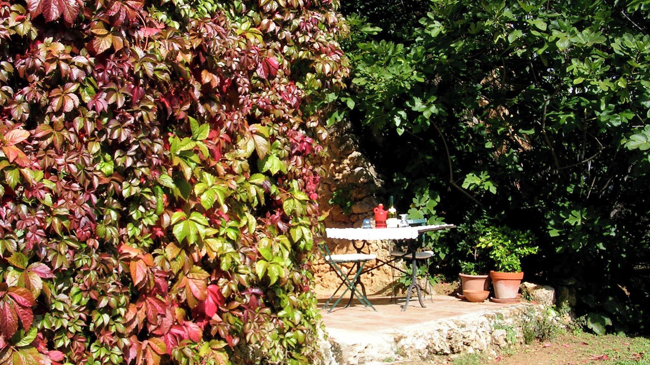 Photo of Others in Sillans-la Cascade