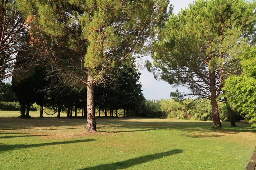 Photo of Others in St.-Remy-de-Provence