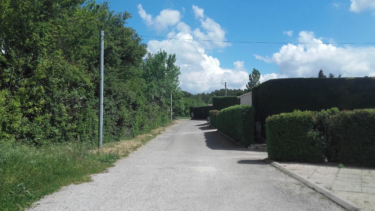 Photo of Outdoor in Velleron