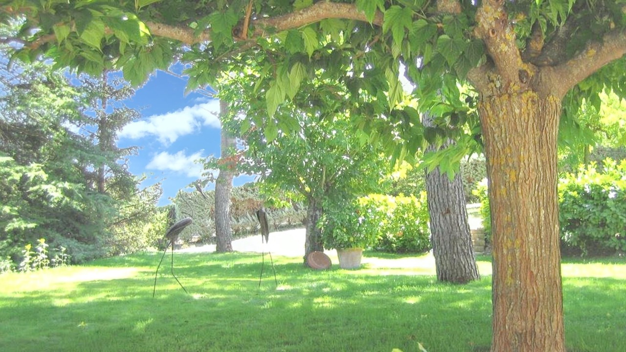 Photo of Outdoor in Cereste