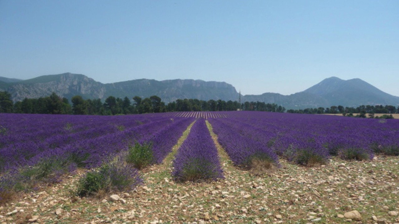 Photo of Outdoor in Cereste
