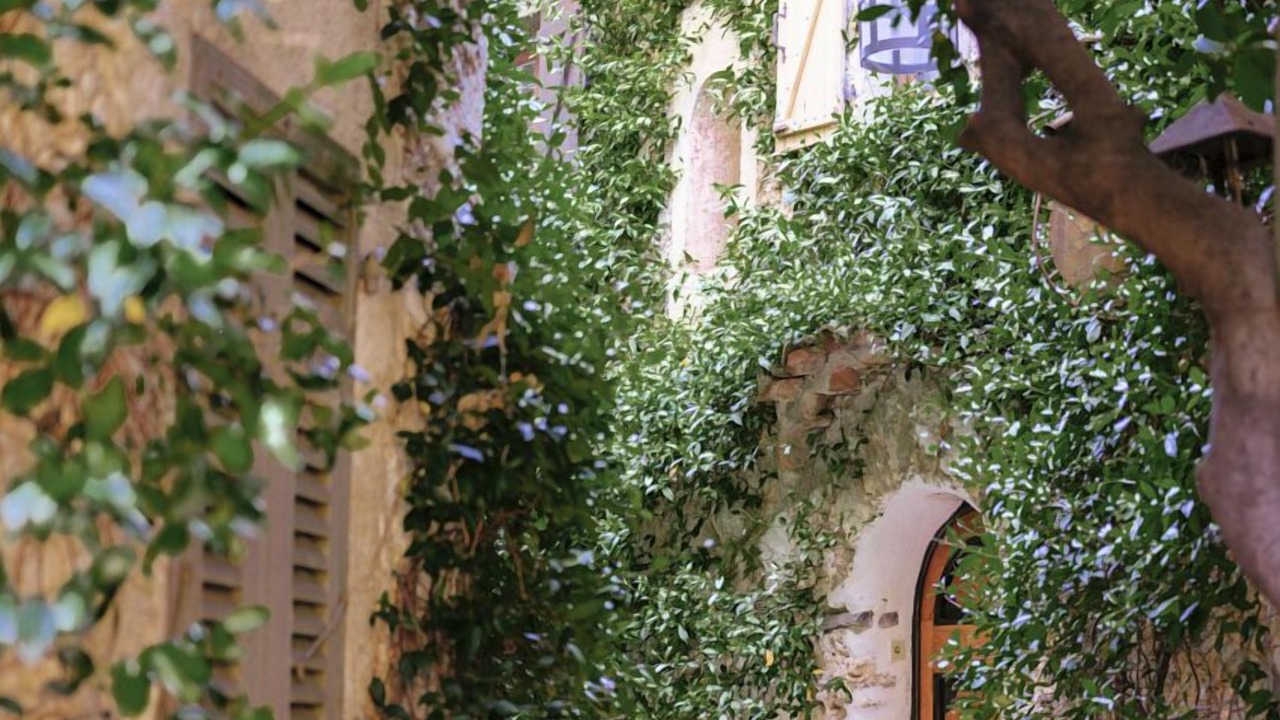 Photo of Outdoor in Old Town