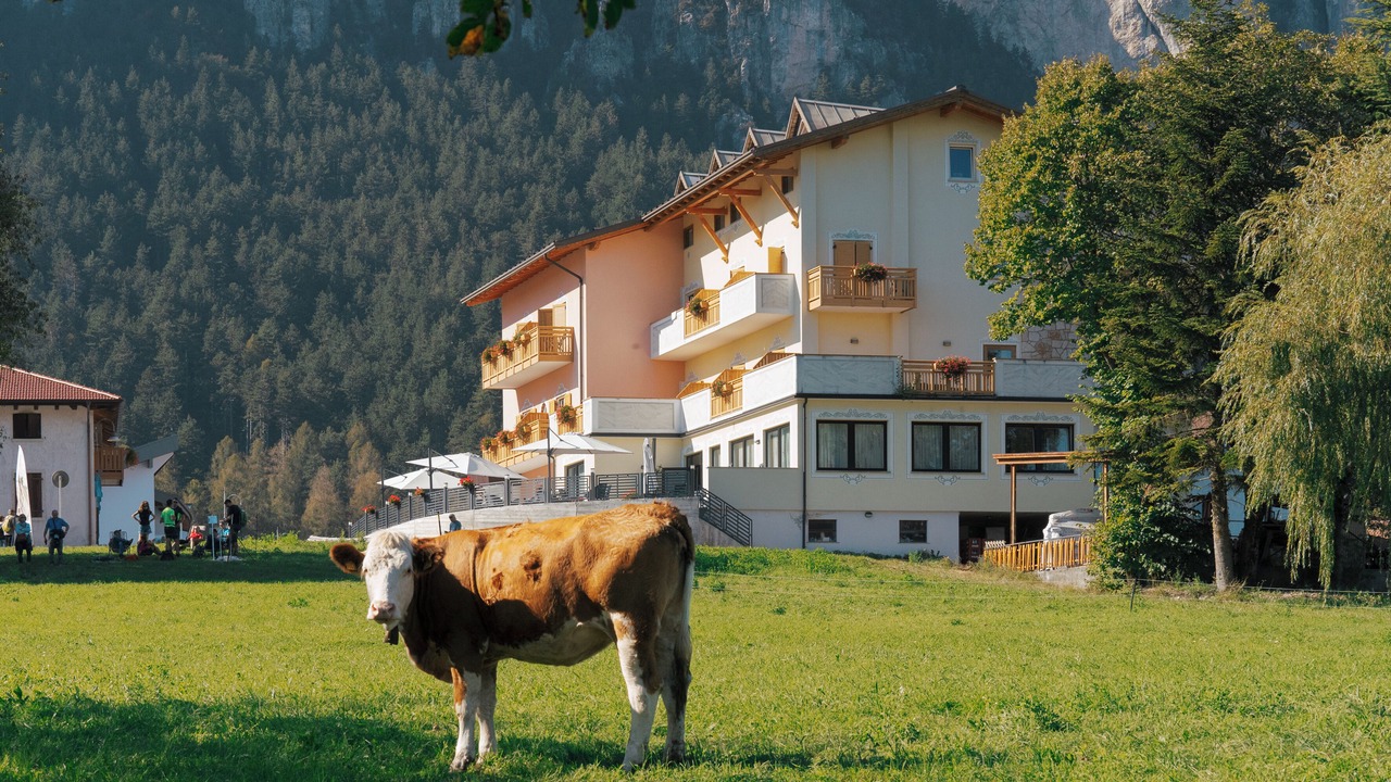 Photo of Outdoor in Fai della Paganella