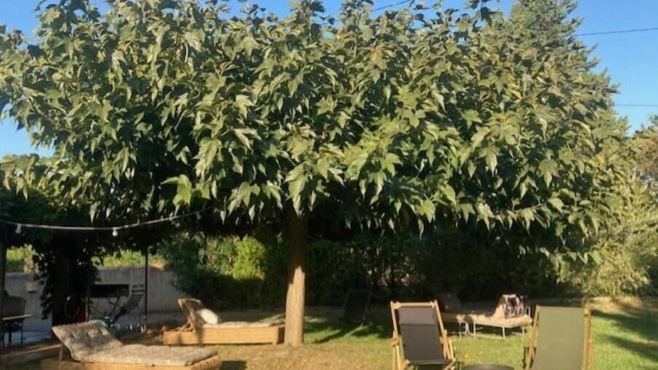 Photo of Outdoor in Saint-Andiol