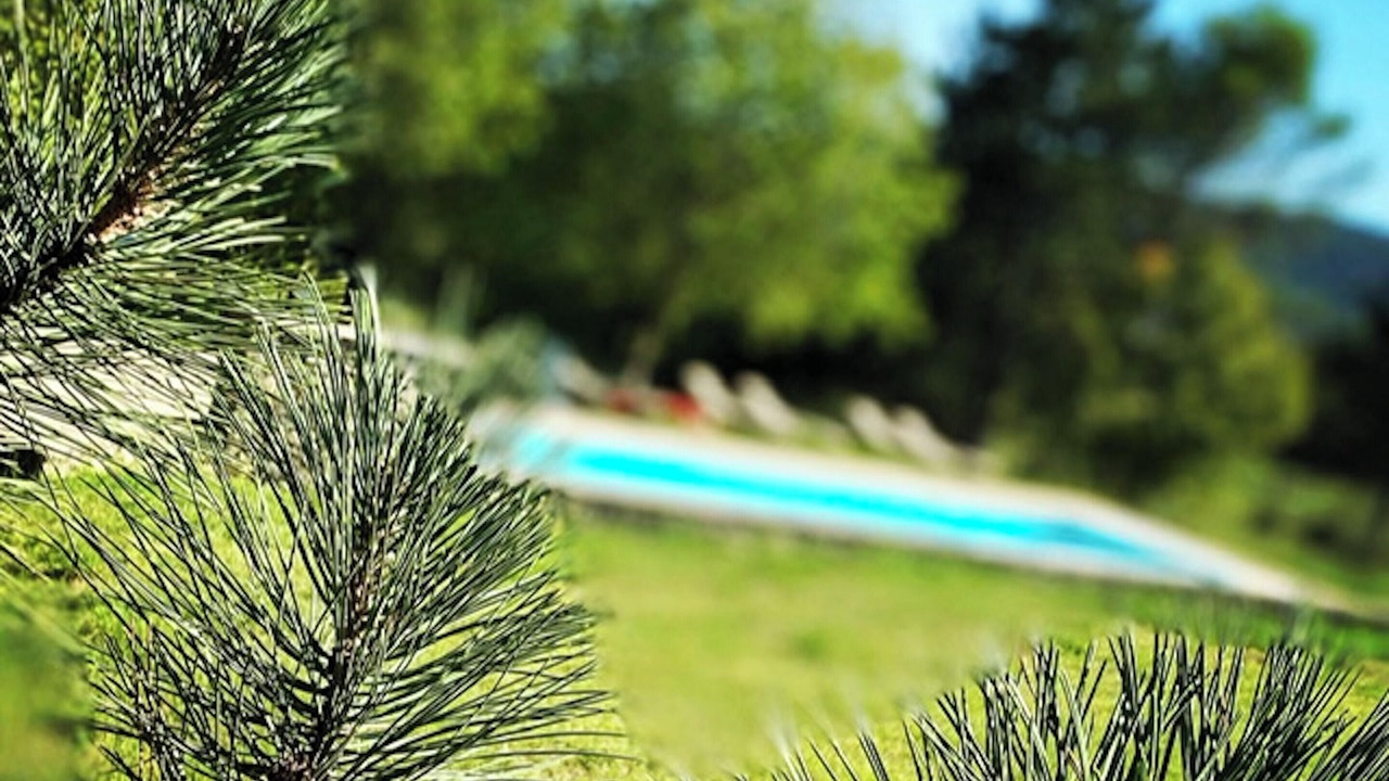 Photo of Outdoor in Conqueyrac