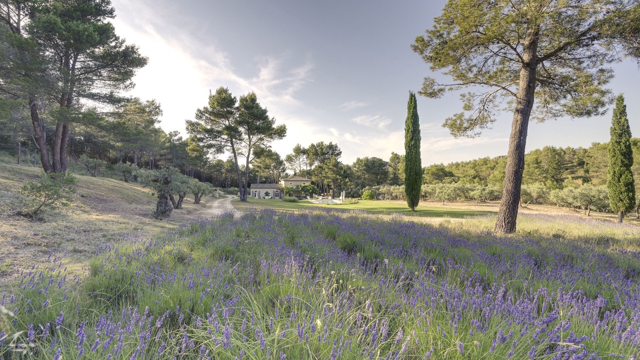 Photo of Outdoor in St.-Remy-de-Provence