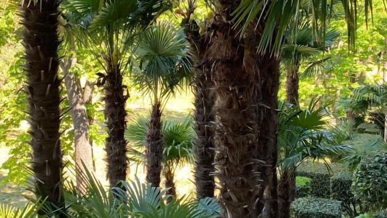 Photo of Outdoor in Lieuran-les-Beziers