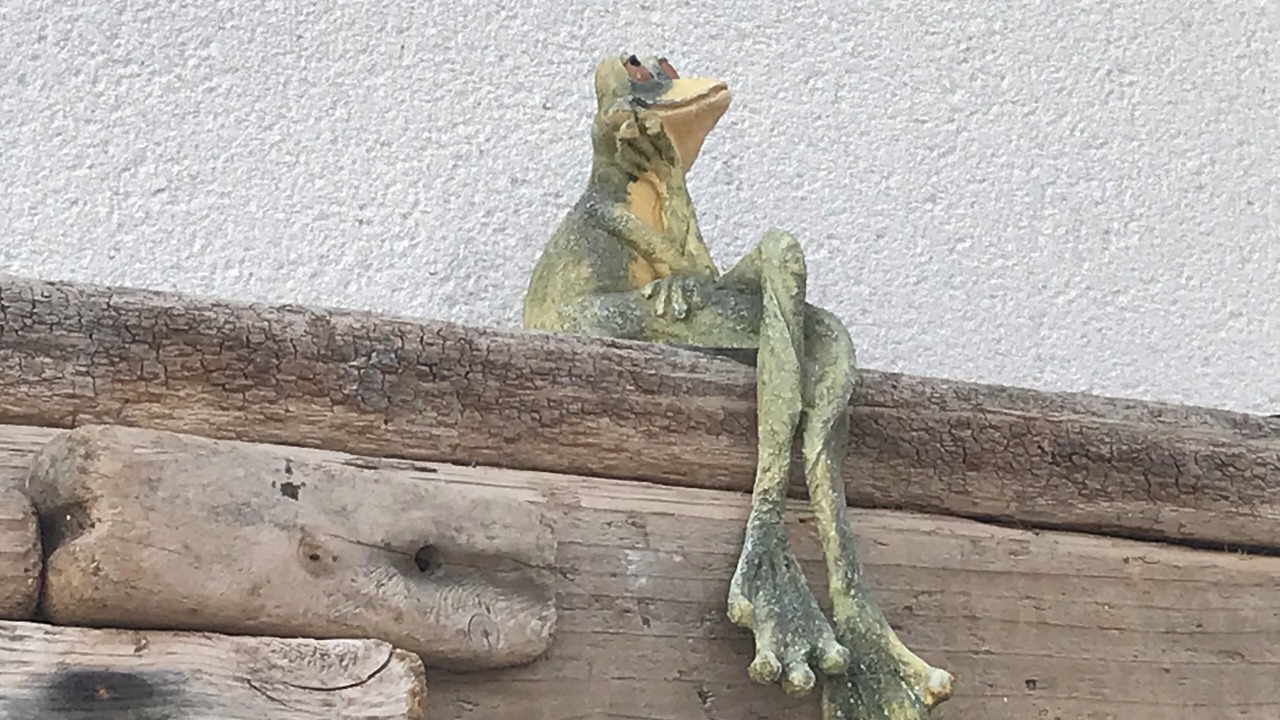 Photo of Outdoor in Marseillan