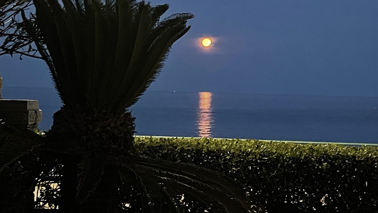 Photo of Outdoor in Menton
