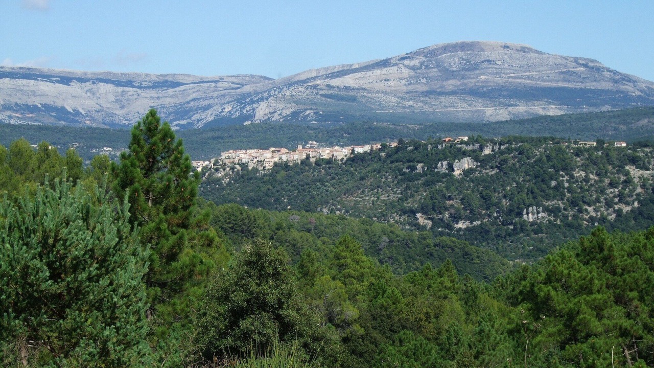 Photo of Others in Montauroux