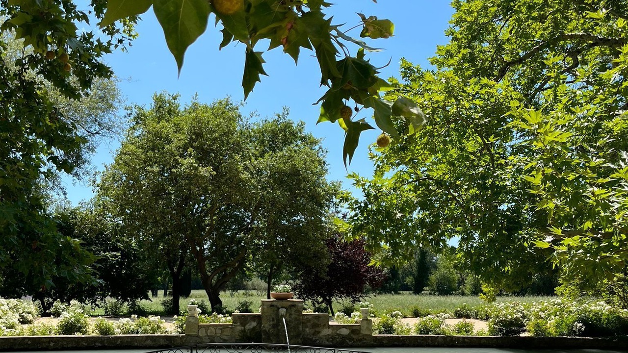 Photo of Outdoor in Lamanon